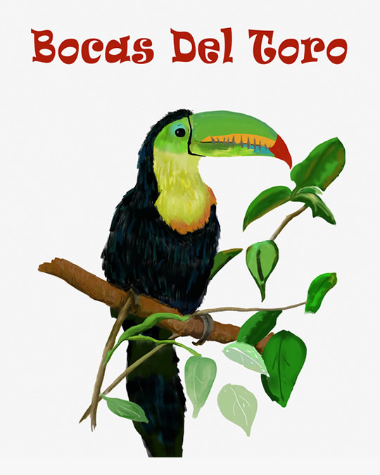 Rain Forest Toucan - Island Art by Yotigo